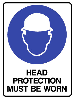 Head Protection must Be Worn