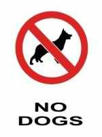 No Dogs